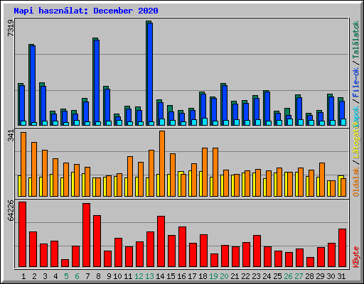 Napi haszn�lat: December 2020